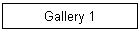 Gallery 1